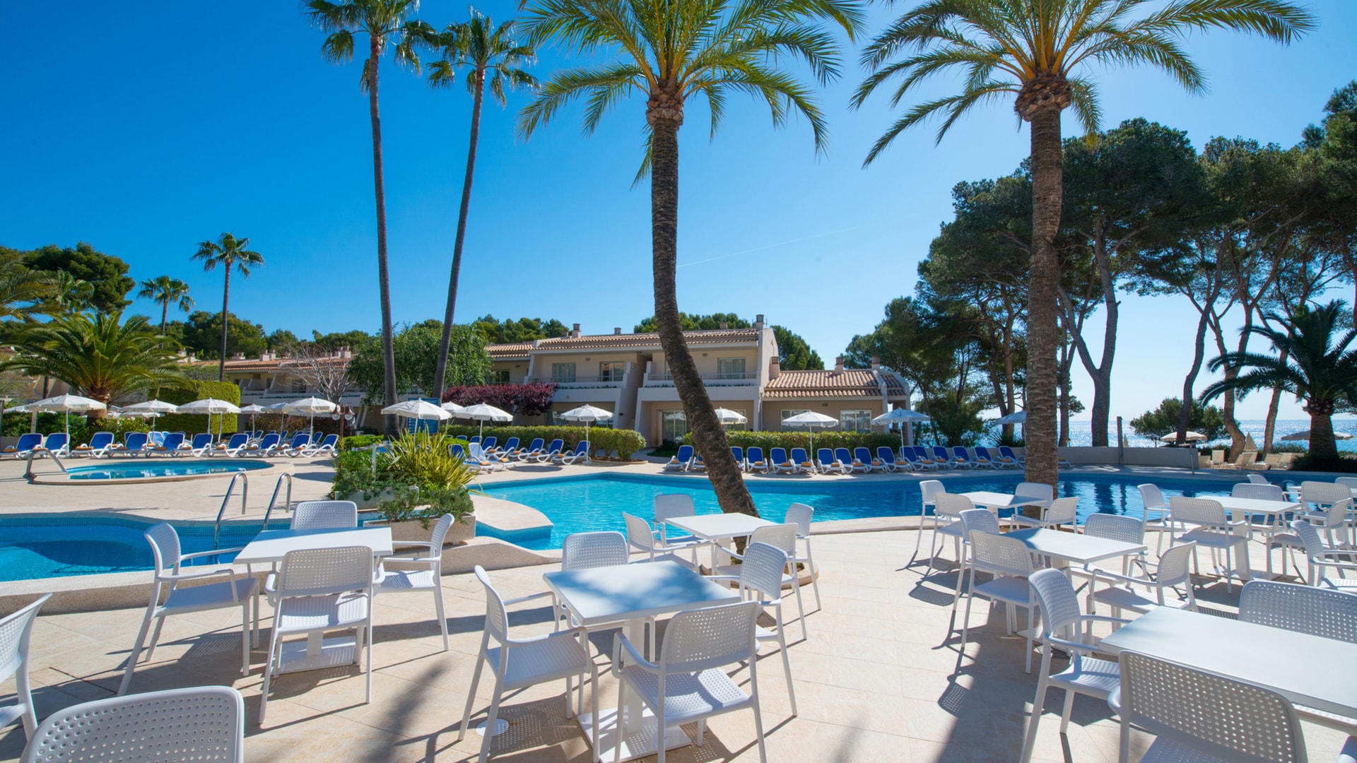 Bustransfer Mallorca Flughafen Nach Pinos Park www.iberostar.com