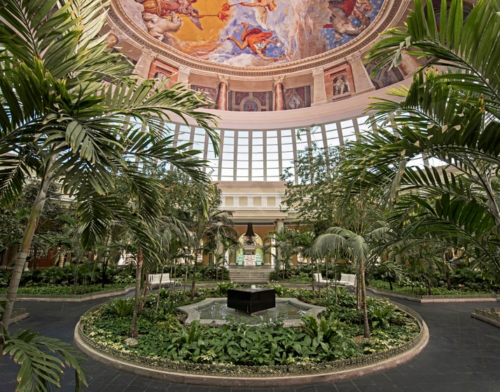 Iberostar Grand Paraíso Lobby Area