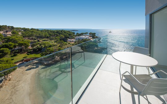 un vaso transparente con vistas a un gran cuerpo de agua