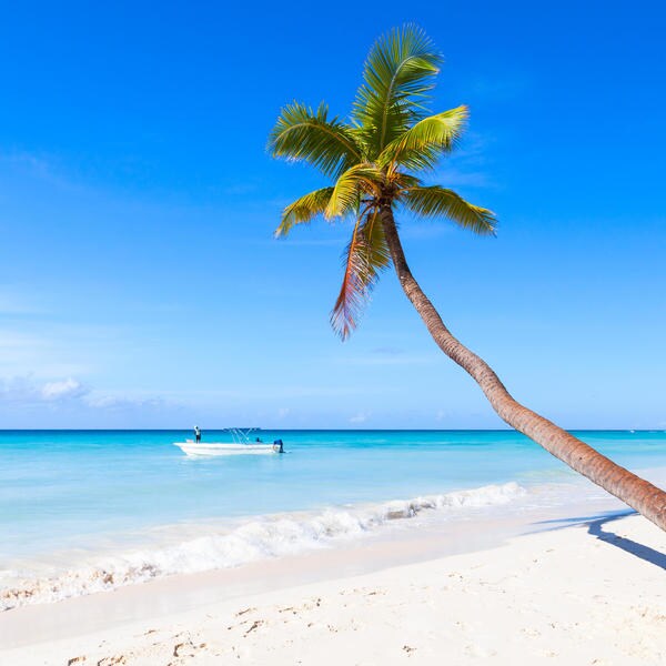 una playa de arena junto a un cuerpo de agua